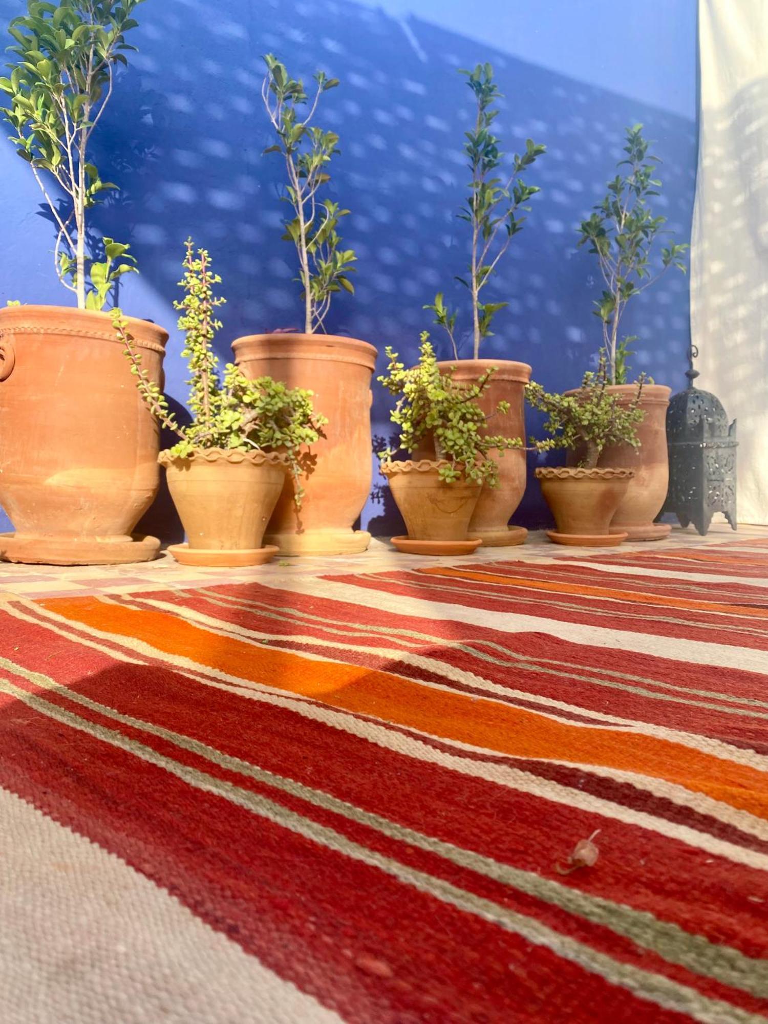 Riad La Perle De Bacha Μαρακές Εξωτερικό φωτογραφία